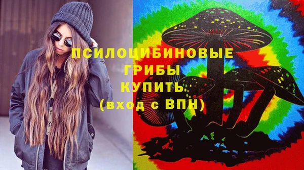 соль ск Армянск