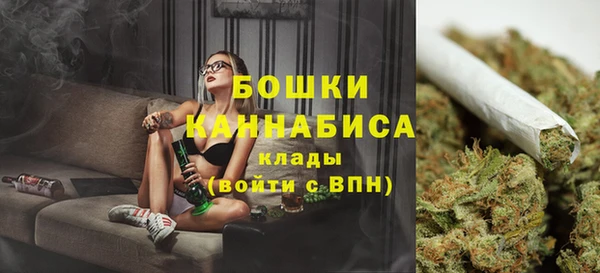 стаф Арсеньев