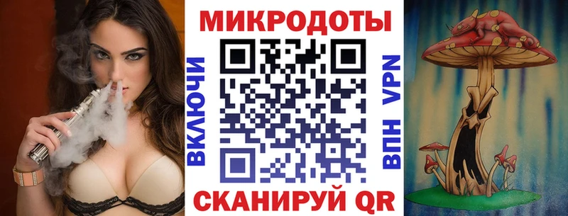 Псилоцибиновые грибы Psilocybe  Новоуральск 